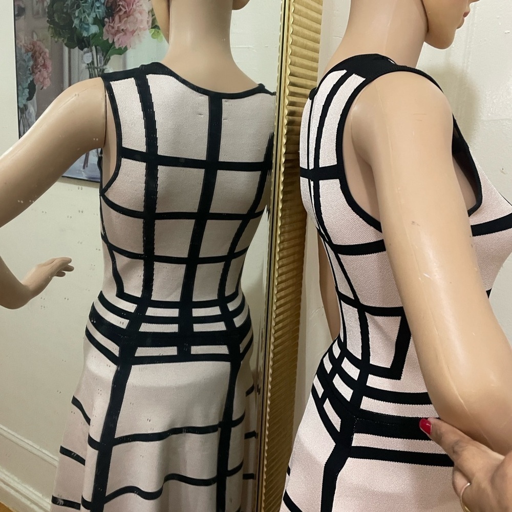 Torn by Ronny Kobo Black and Cream Mini Dress - Picture 4 of 12